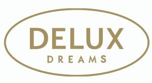 Delux Box tyyny 45x55x5cm DX05V