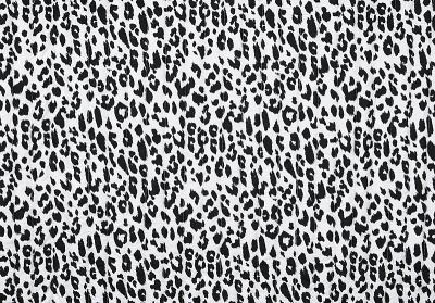 Tikkikangas dominicana