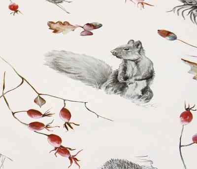 Vahakangas hirvi ja metsänelämää