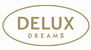 Delux Box tyyny 45x55x10cm DX10V
