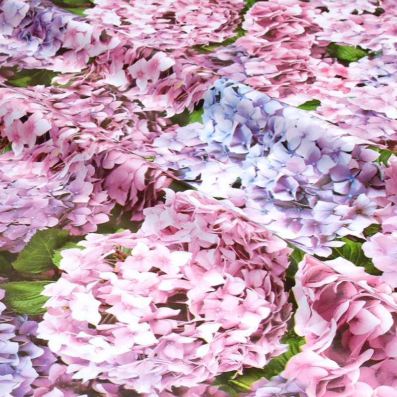 Vahakangas hortensia 
